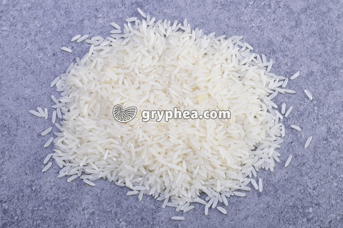 Riz basmati riche en féculents - gryphea.org